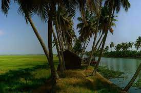 Kerala’s backwater hub Kumarakom tops in revenue per available rooms in country: Survey